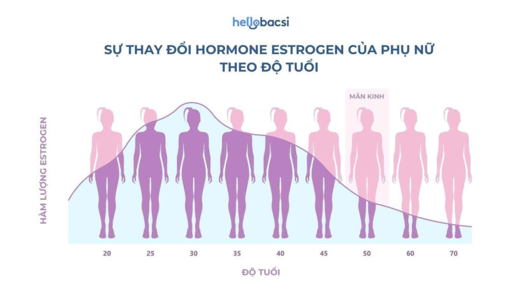 Hệ thống sinh sản của phụ nữ