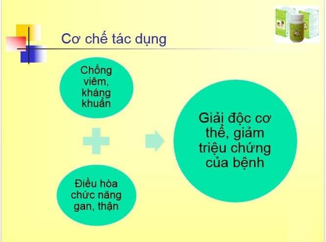 U xơ tử cung: Hiểu biết cần thiết và những điều cần lưu ý