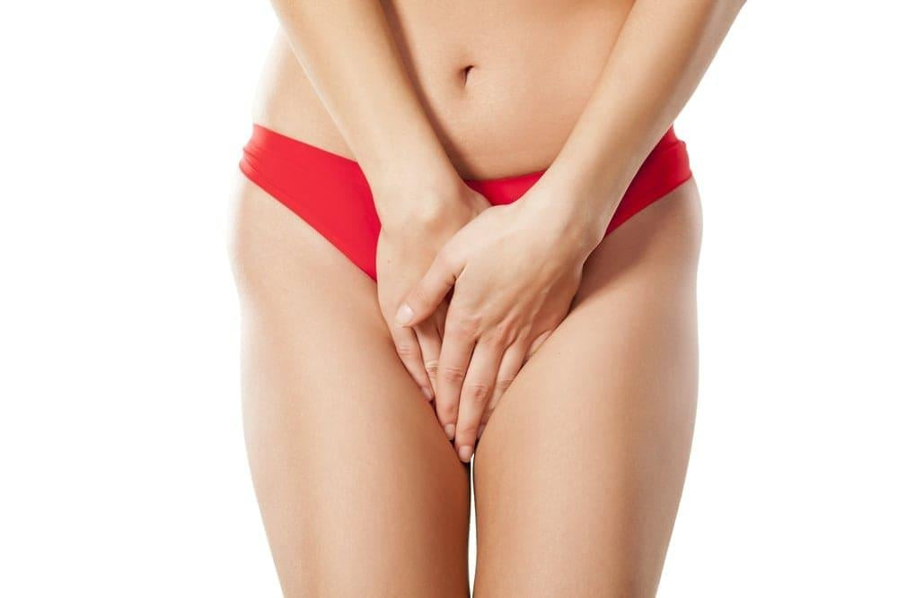 Môi bé là gì? Cấu tạo và chức năng của môi bé