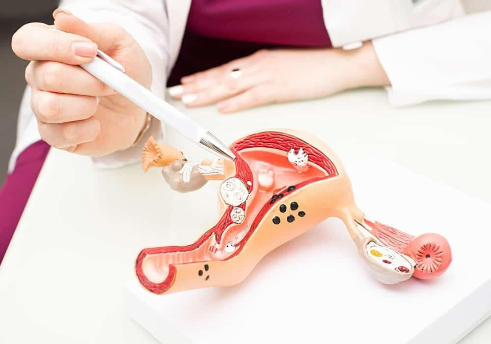 Sa Tử Cung: Tình Trạng và Vấn Đề Quan Hệ Tình Dục