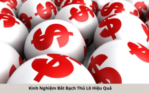 Kinh Nghiệm Bắt Bạch Thủ Lô Hiệu Quả