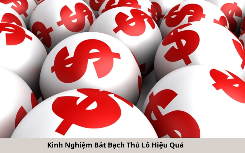 Kinh Nghiệm Bắt Bạch Thủ Lô Hiệu Quả