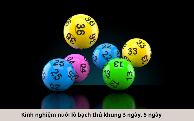 Kinh Nghiệm Bắt Bạch Thủ Lô Hiệu Quả